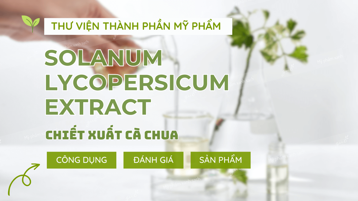 Thành phần có trong mỹ phẩm solanum lycopersicum extract