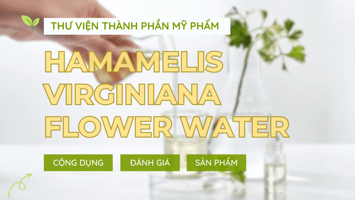 Thành phần mỹ phẩm hamamelis virginiana flower water