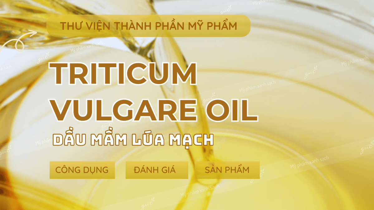 Thành phần mỹ phẩm triticum vulgare oil