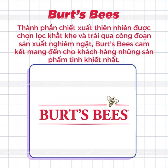 Thương hiệu mỹ phẩm organics hữu cơ Burt's Bees