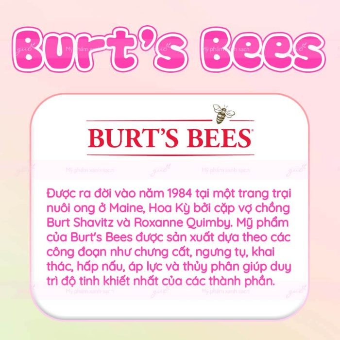 Thương Hiệu Mỹ Phẩm Organic Cho Mẹ Bầu Burt's Bees