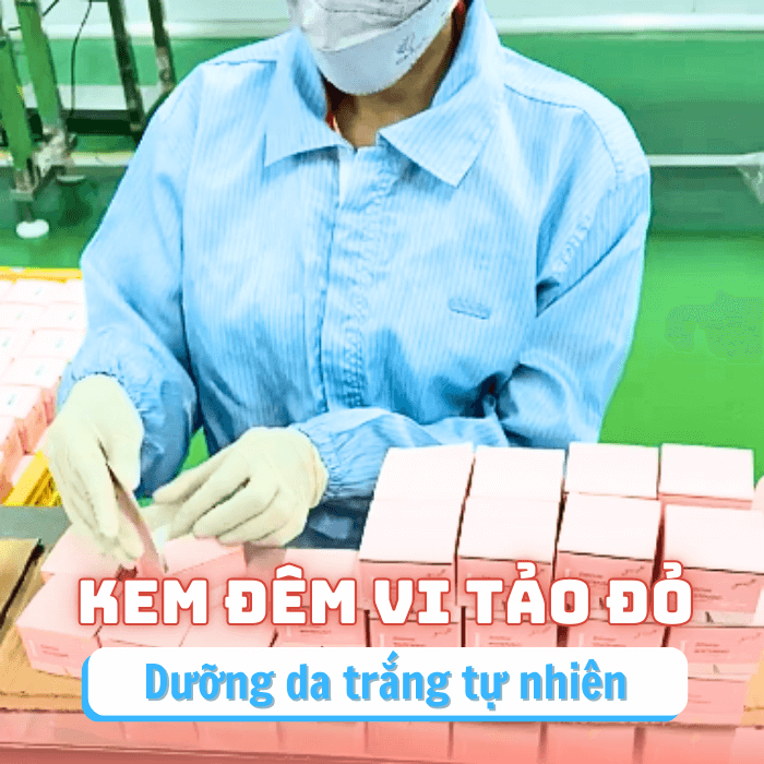 Hoạt động sản xuất kem vi tảo đỏ guo đảm bảo vệ sinh