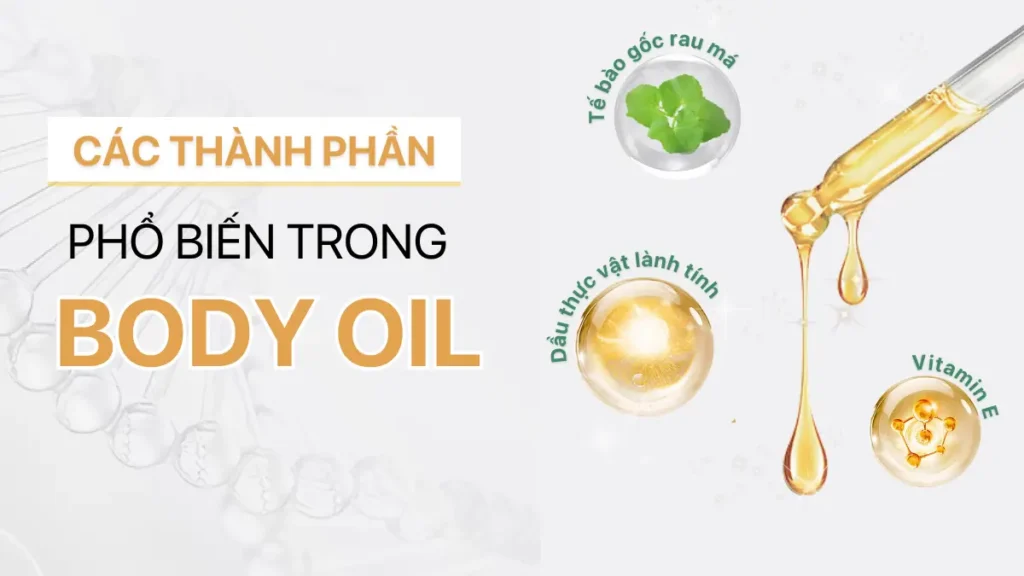 Các thành phần phổ biến trong body oil
